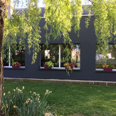 Agathe Et Titi Bed & Breakfast Marigny-les-Reullee Ngoại thất bức ảnh